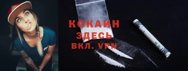 спайс Арсеньев